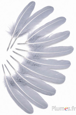 Gans - 15-21 cm - grau